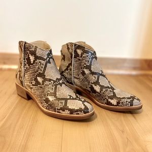 Dolce Vita Tavin Bootie grey/ivory faux snake skin